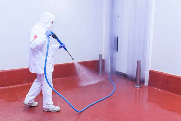 Solar Panel Cleaning in Beavercreek, OR
